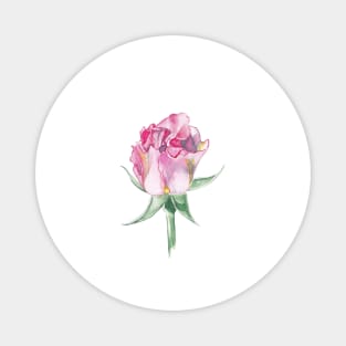 Pink rose Magnet